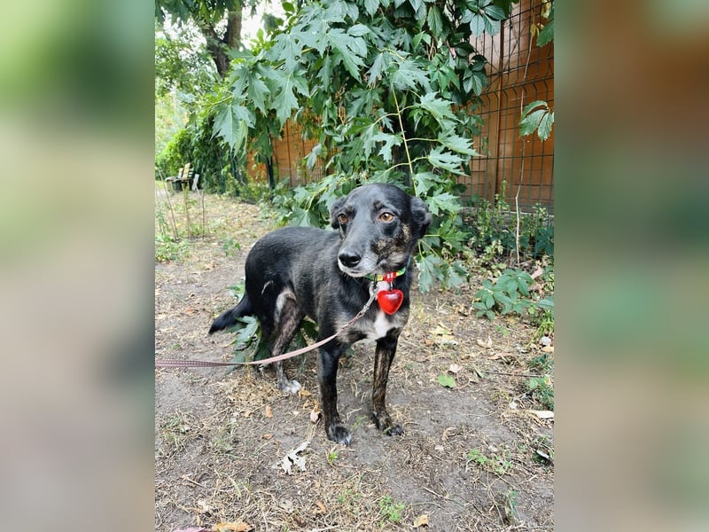 TRINITY SUCHT EIN LIEBEVOLLES ZUHAUSE