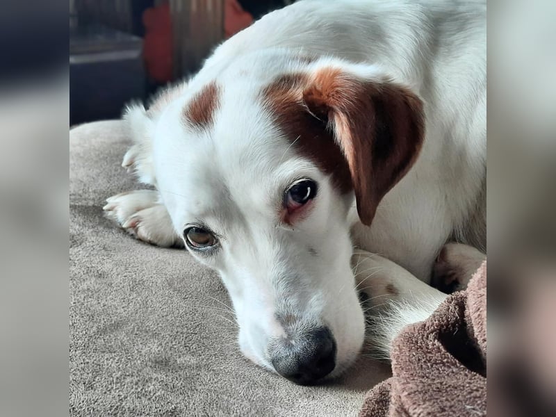 Bimas - ruhig&neugierig