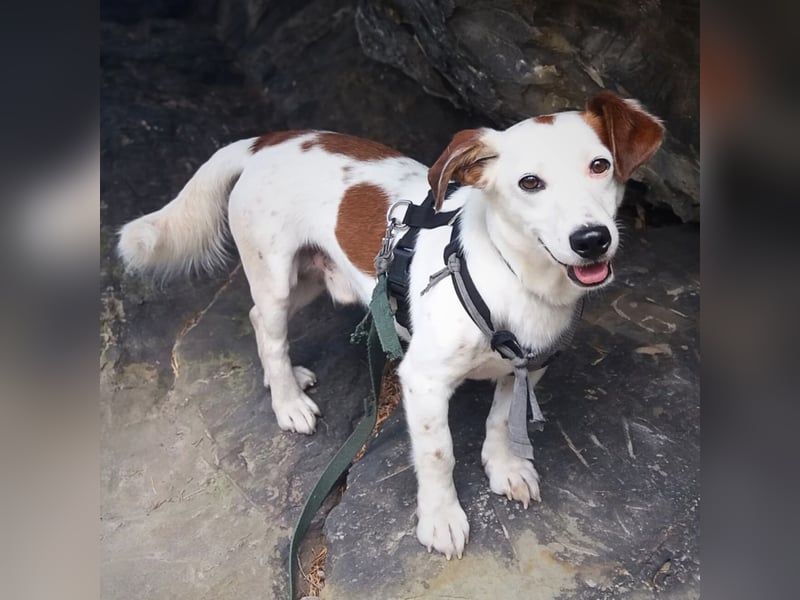 Bimas - ruhig&neugierig