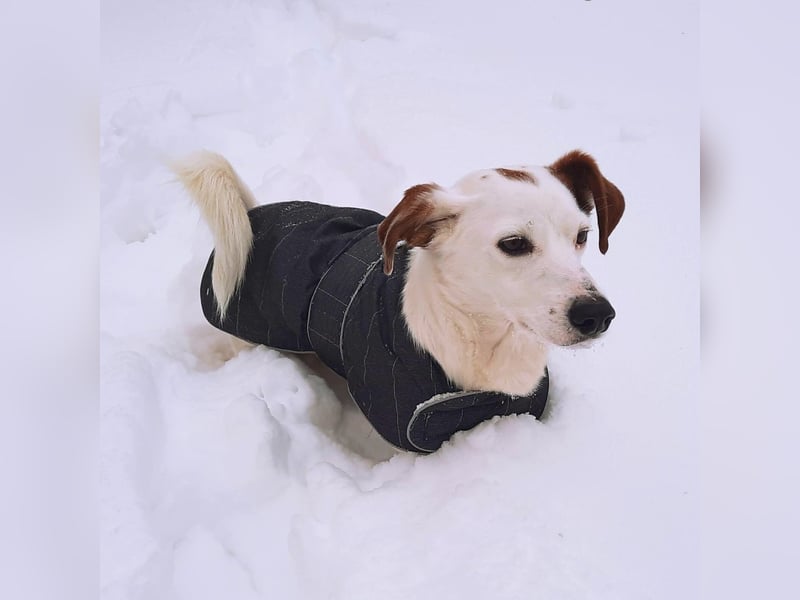 Bimas - ruhig&neugierig