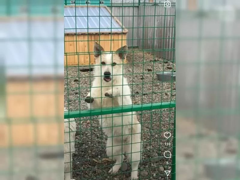 Coco und Cora-zwei Herzen, eine Seele