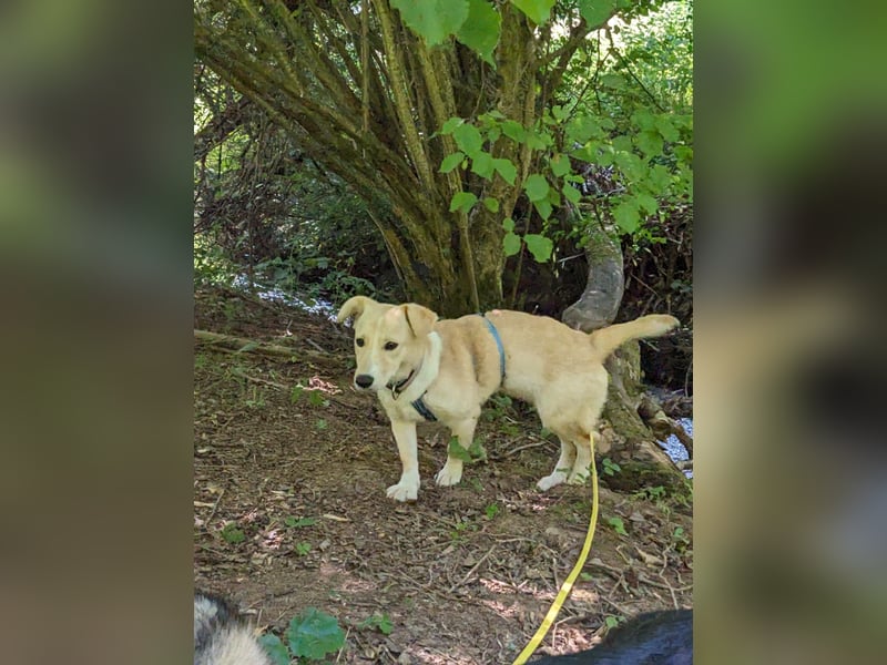 Süße Aby sucht ihre Familie