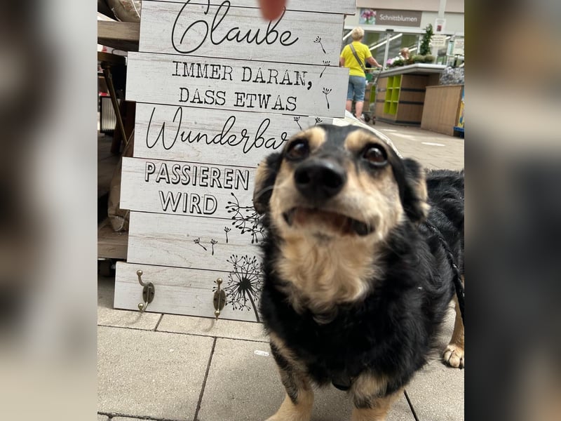 Tabaluga sucht Paten !