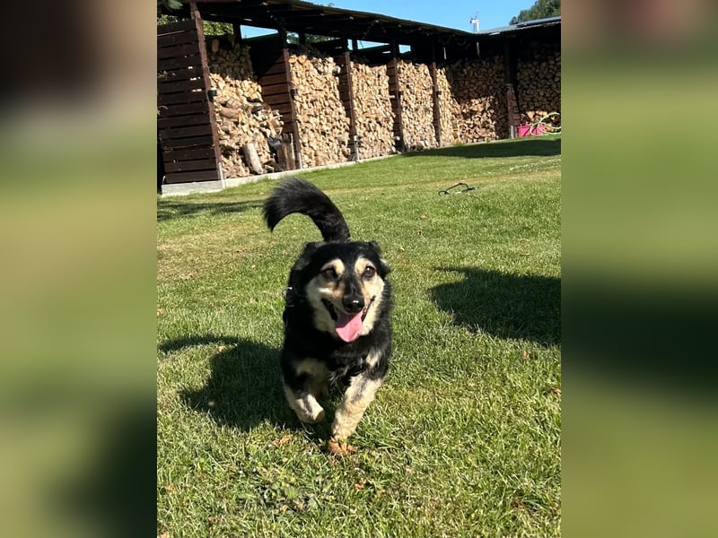 Tabaluga sucht Paten !