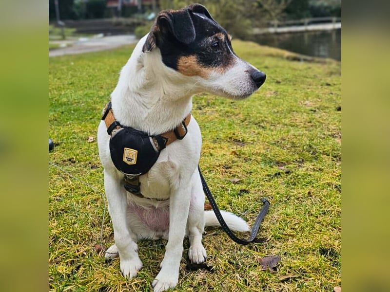 Lumi - liebt Menschen