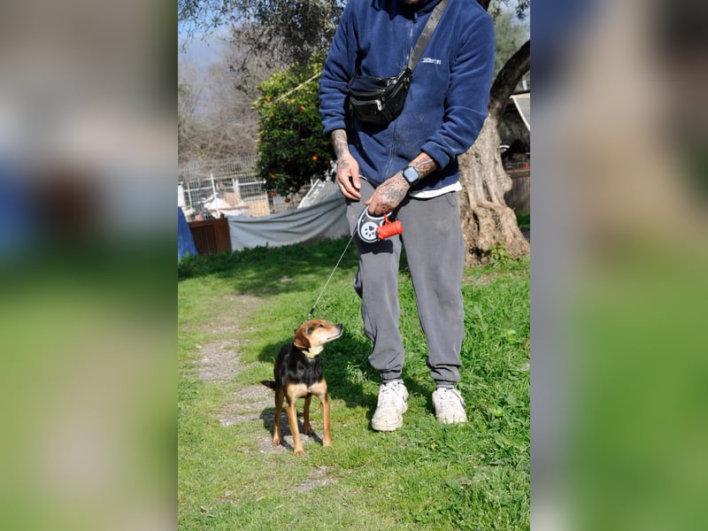 Zuckerschnütchen Irma sucht ihre Familie