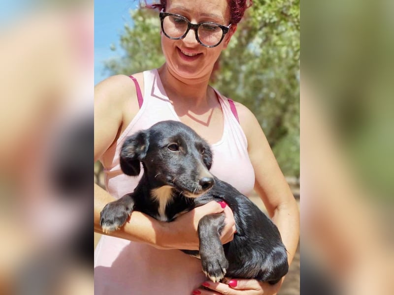 Zuckerschnäuzchen Matta