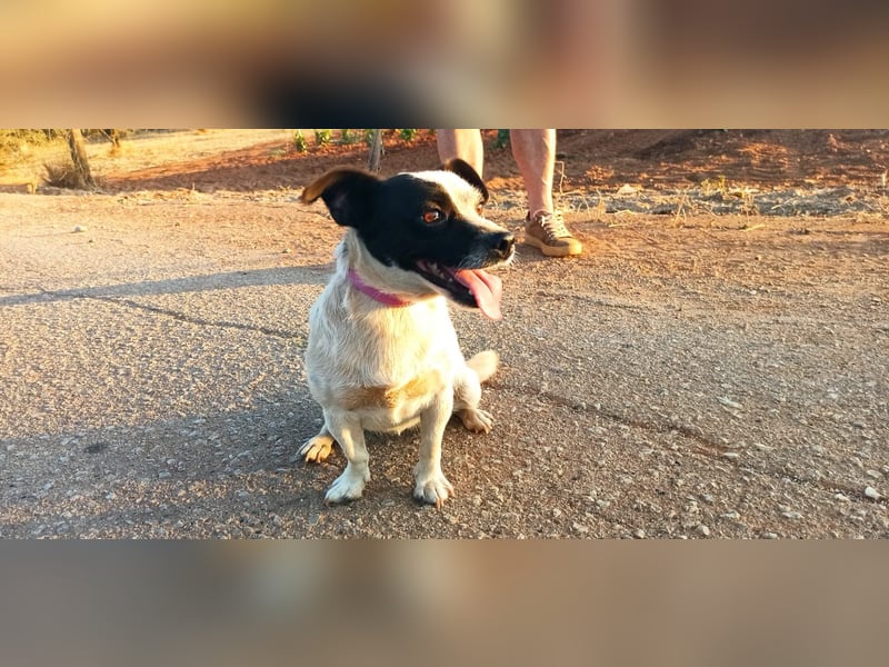Schnuckelige Kiki möchte Dein Herz erobern