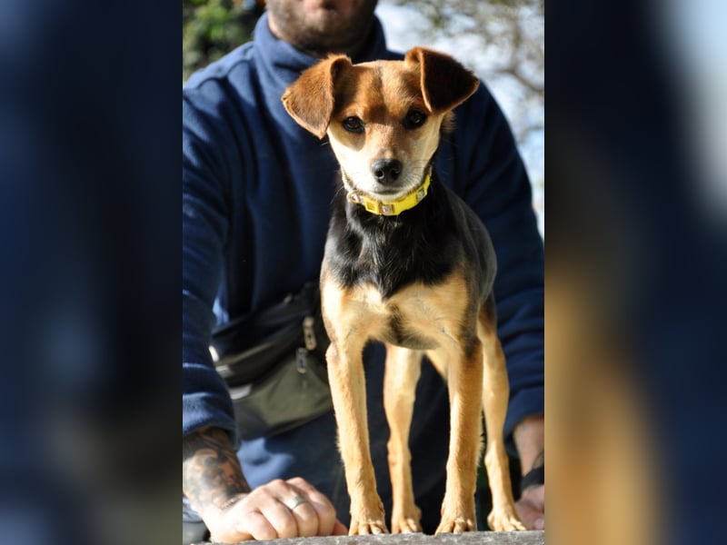 Zuckerschnütchen Irma sucht ihre Familie