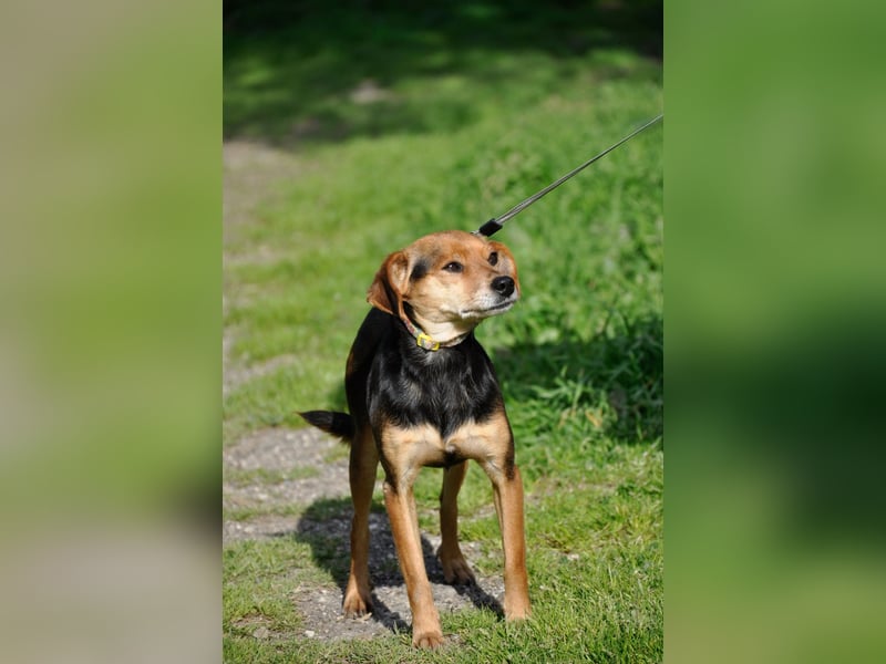 Zuckerschnütchen Irma sucht ihre Familie