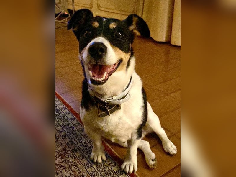 Milou: Kleines Herz sucht große Liebe