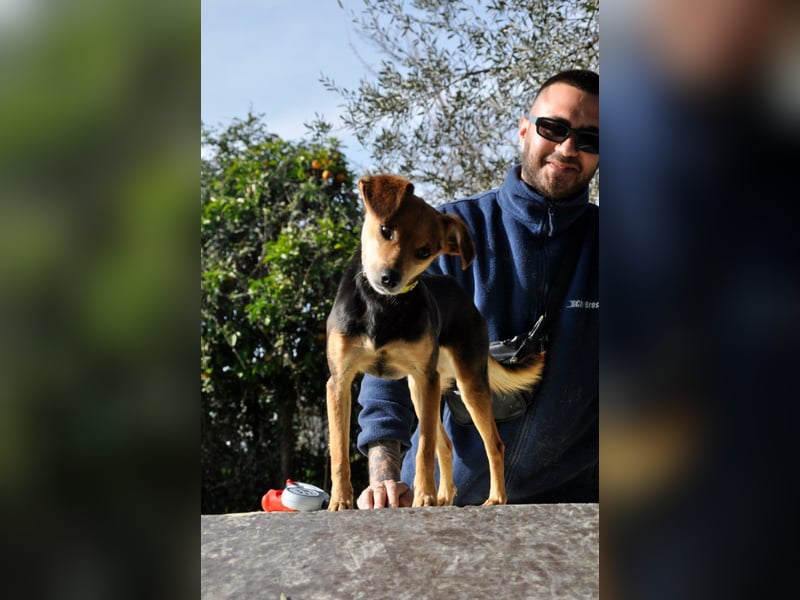 Zuckerschnütchen Irma sucht ihre Familie