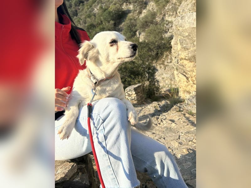 Rosa: Zauberhafter Sonnenschein