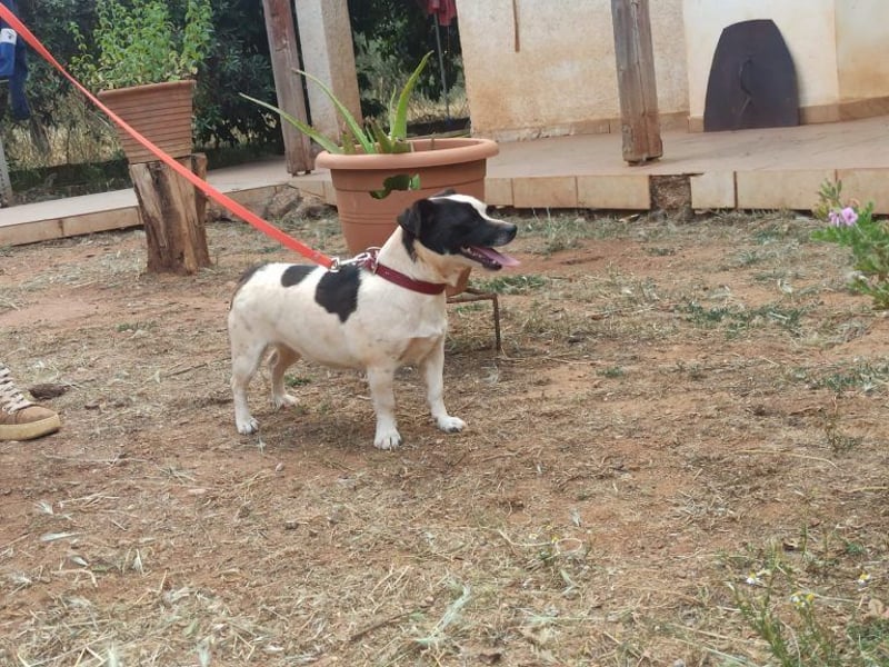 Schnuckelige Kiki möchte Dein Herz erobern