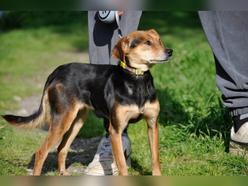 Zuckerschnütchen Irma sucht ihre Familie