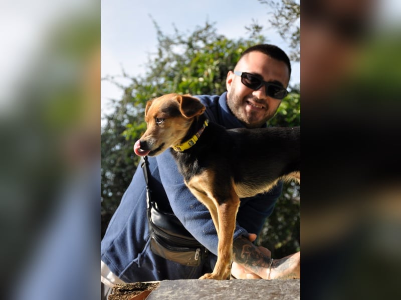 Zuckerschnütchen Irma sucht ihre Familie