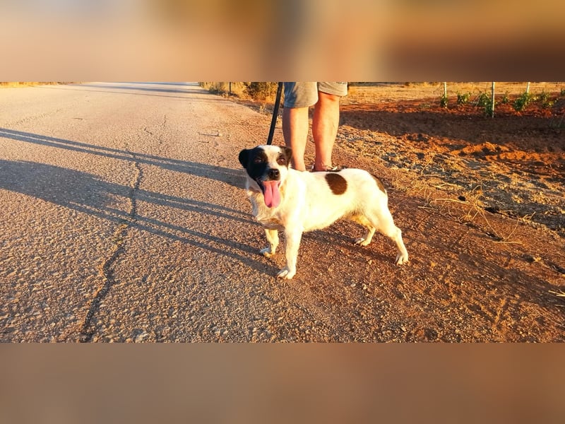 Schnuckelige Kiki möchte Dein Herz erobern