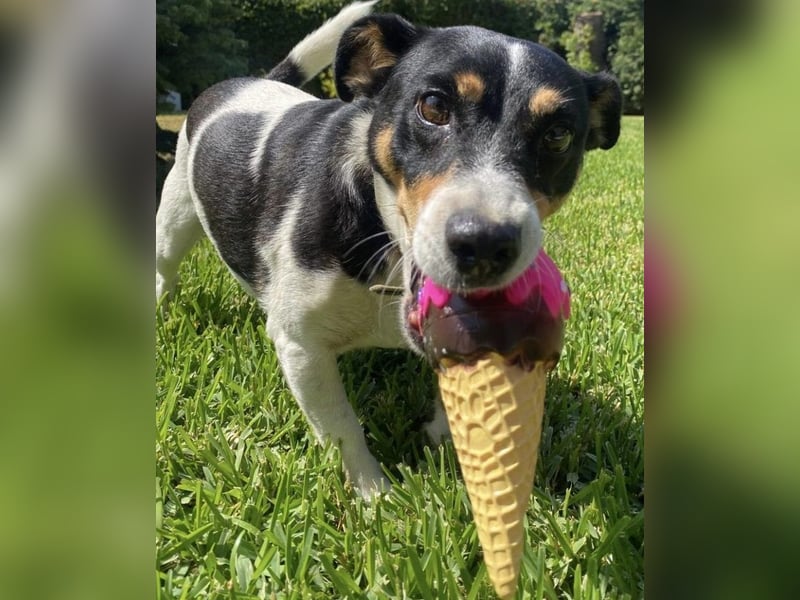 Milou: Kleines Herz sucht große Liebe