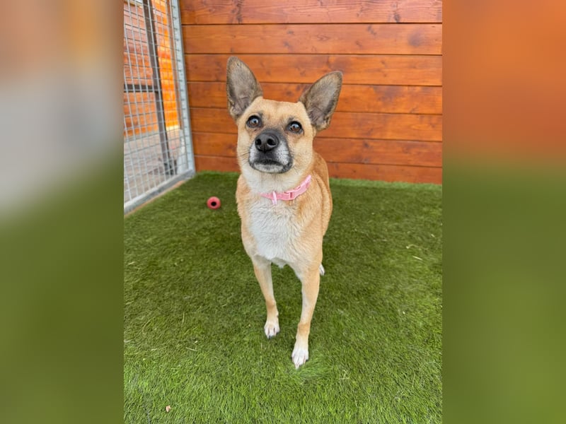 Nazari - freundlich, sozial