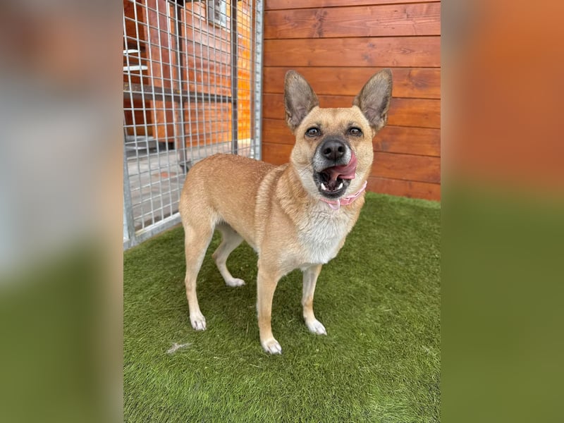 Nazari - freundlich, sozial