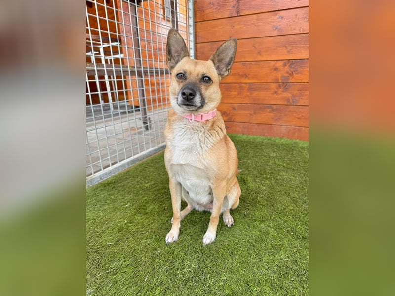 Nazari - freundlich, sozial