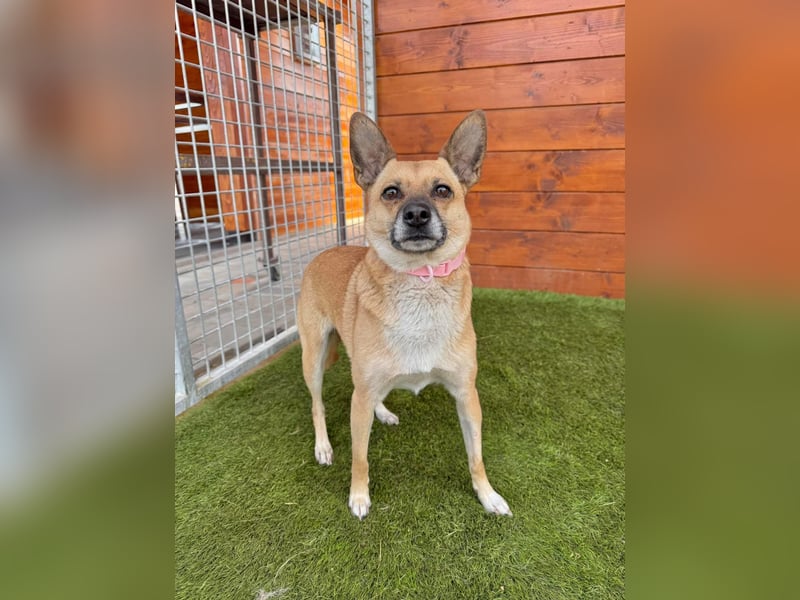 Nazari - freundlich, sozial