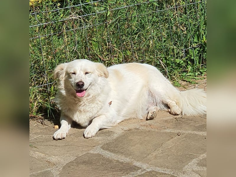 Rita die Pummelfee