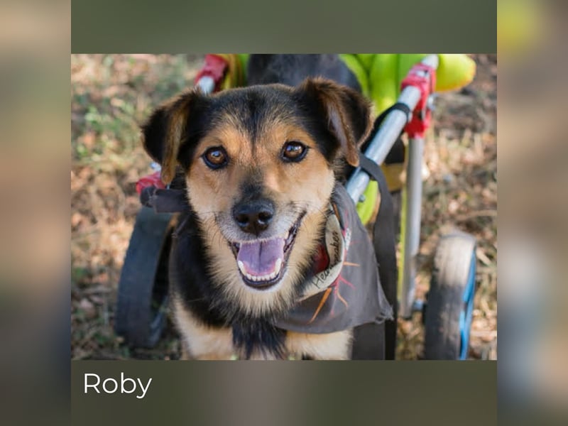Roby: Einschränkungen? Nein danke!
