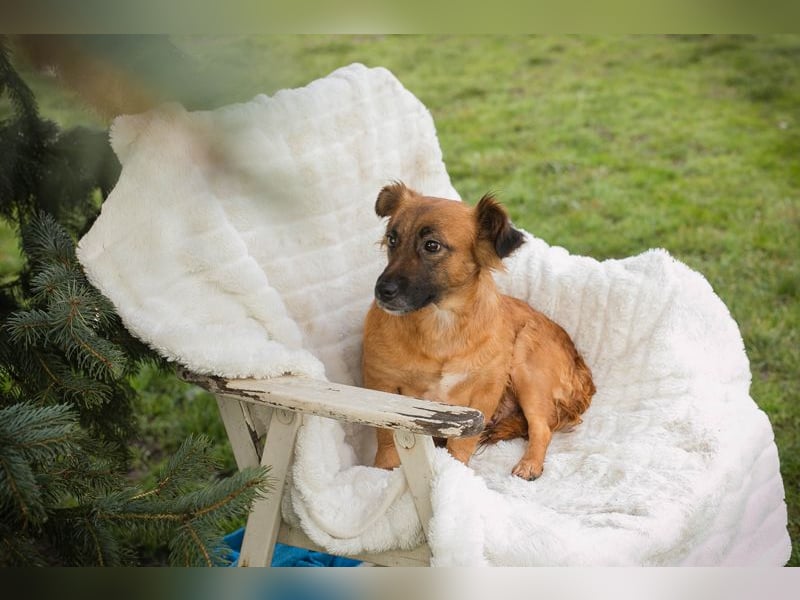 Maika sucht ein Zuhause