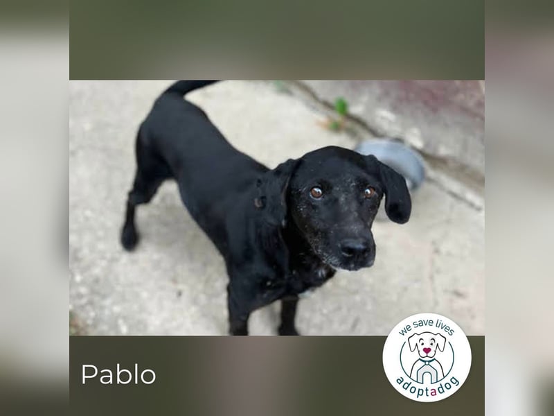 Pablo: Sucht seinen sicheren Hafen