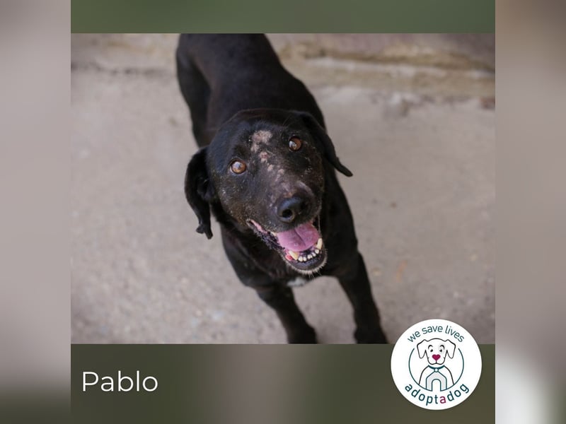 Pablo: Sucht seinen sicheren Hafen