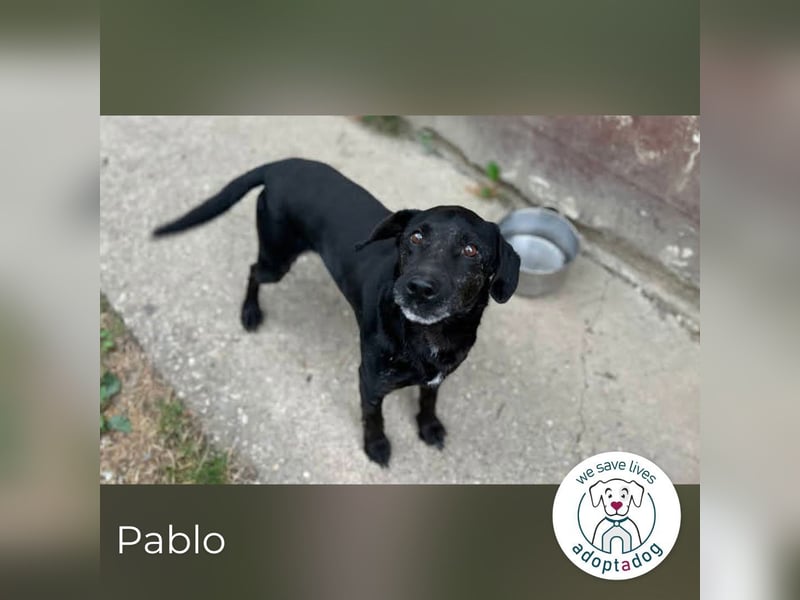 Pablo: Sucht seinen sicheren Hafen