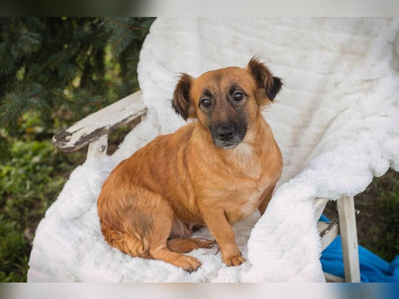 Maika sucht ein Zuhause