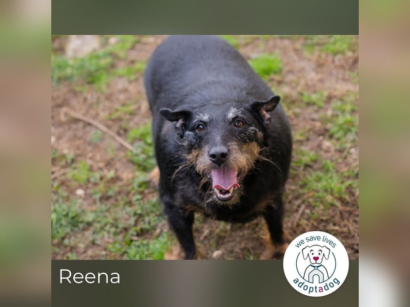 Reena: Neustart! Los geht’s!