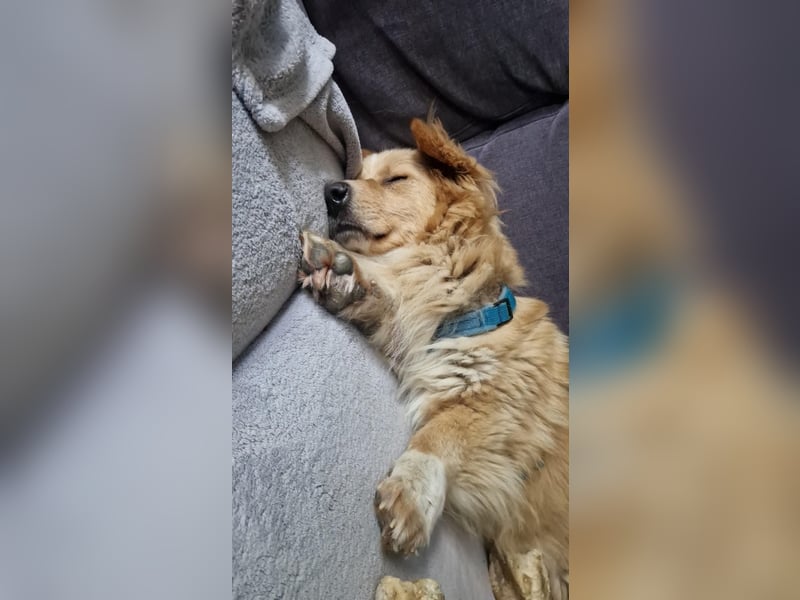 Loki