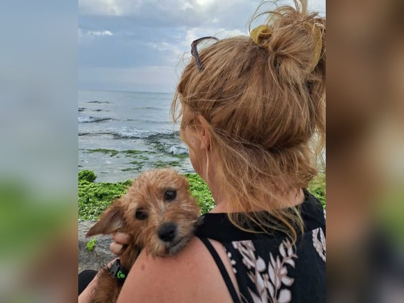 Möhre - supersüß.kuschelig&fröhlich