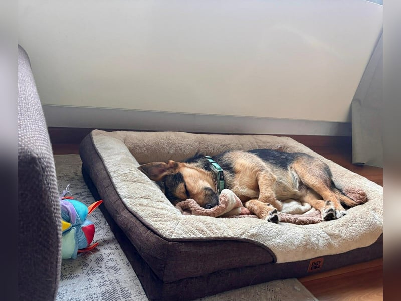 Timo klein, jung, charmant & bereit, dein Herz zu klauen