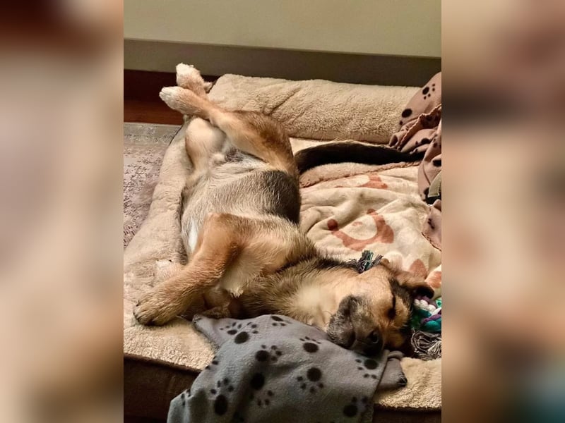 Timo klein, jung, charmant & bereit, dein Herz zu klauen