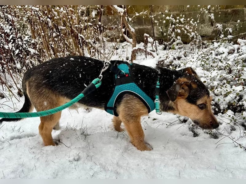 Timo klein, jung, charmant & bereit, dein Herz zu klauen
