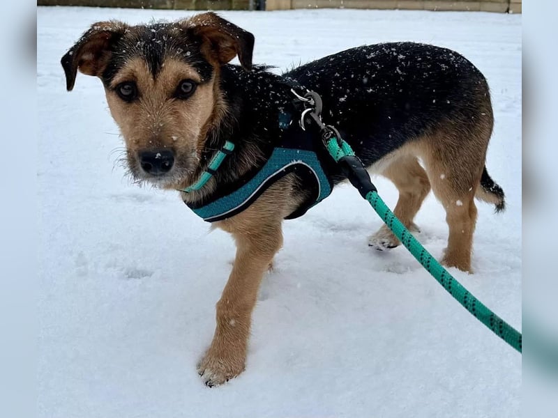 Timo klein, jung, charmant & bereit, dein Herz zu klauen