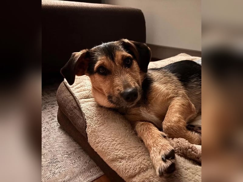 Timo klein, jung, charmant & bereit, dein Herz zu klauen