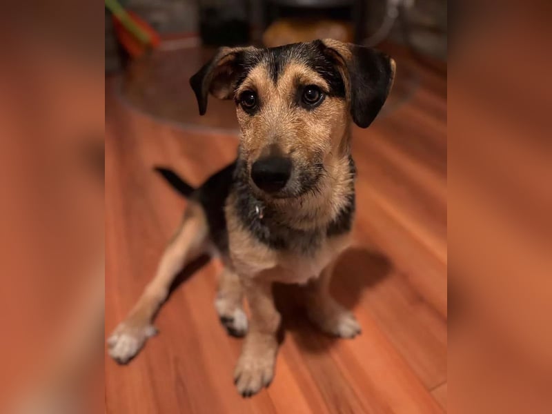 Timo klein, jung, charmant & bereit, dein Herz zu klauen