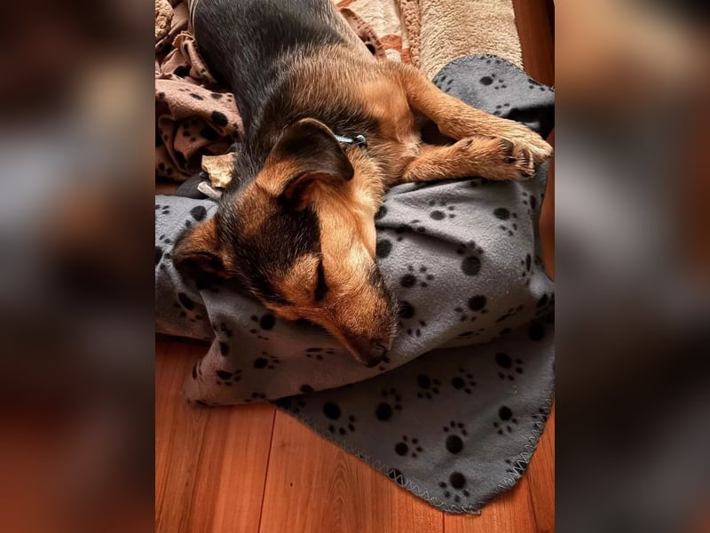 Timo klein, jung, charmant & bereit, dein Herz zu klauen