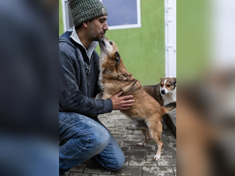 Otto - kleiner Charakterhund