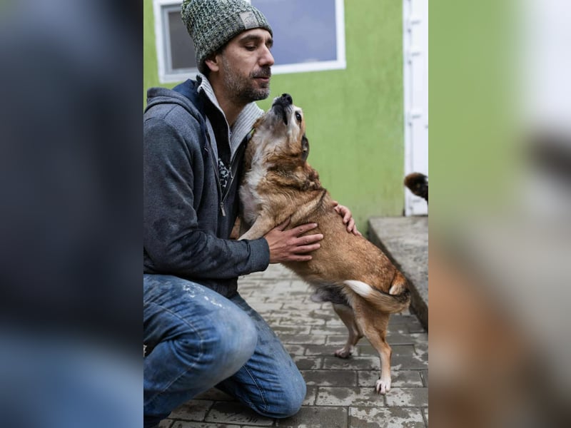 Otto - kleiner Charakterhund