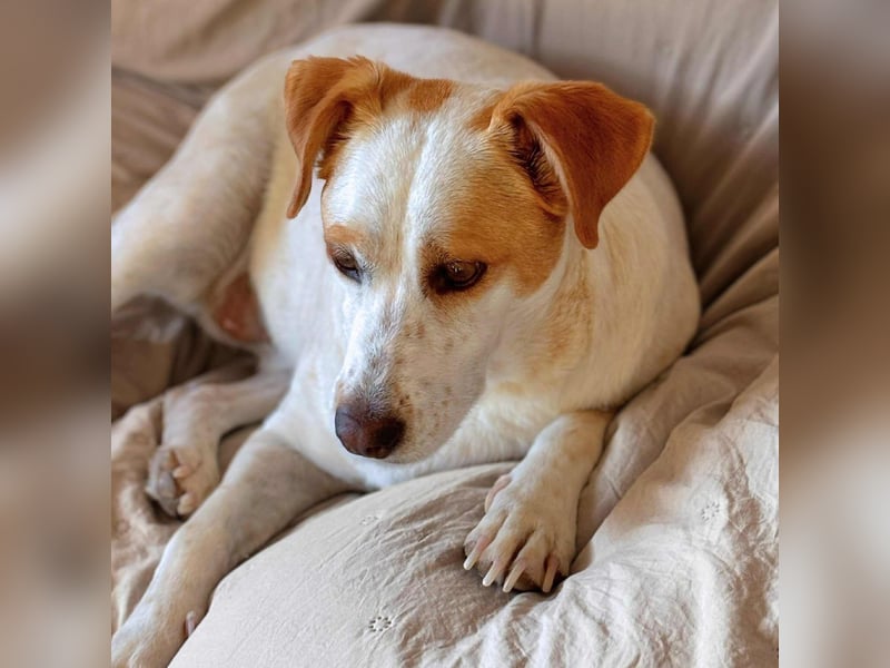 Levi - Little Mister Sunshine