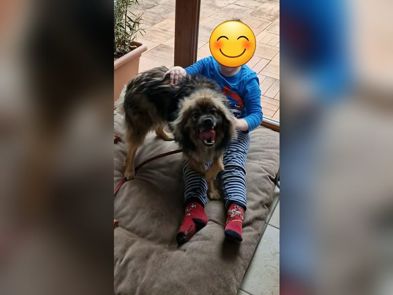 Bucky - ein liebenswerter Bub