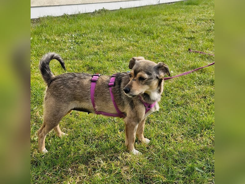 Mary - kleine Mary sucht großes Glück