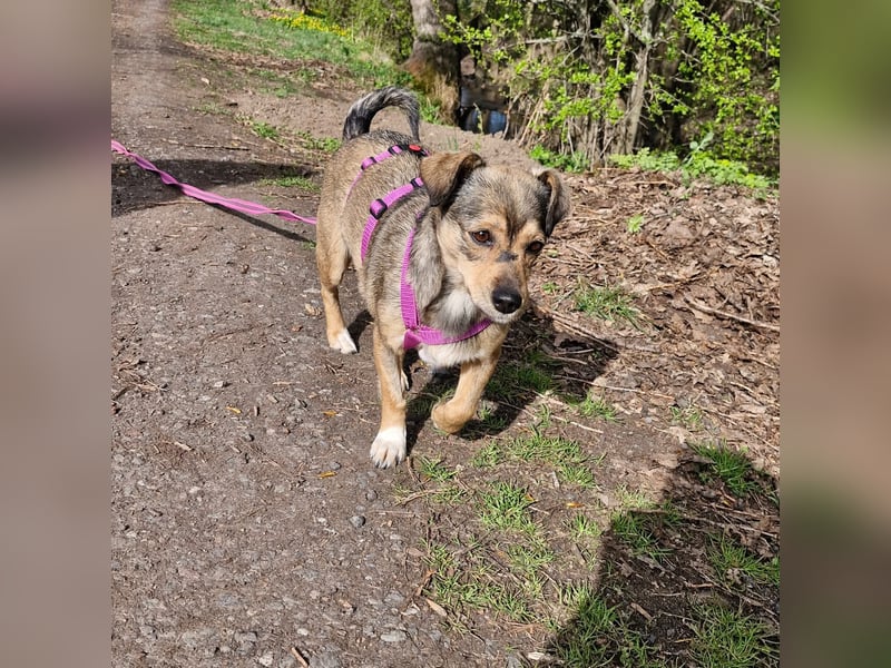 Mary - kleine Mary sucht großes Glück