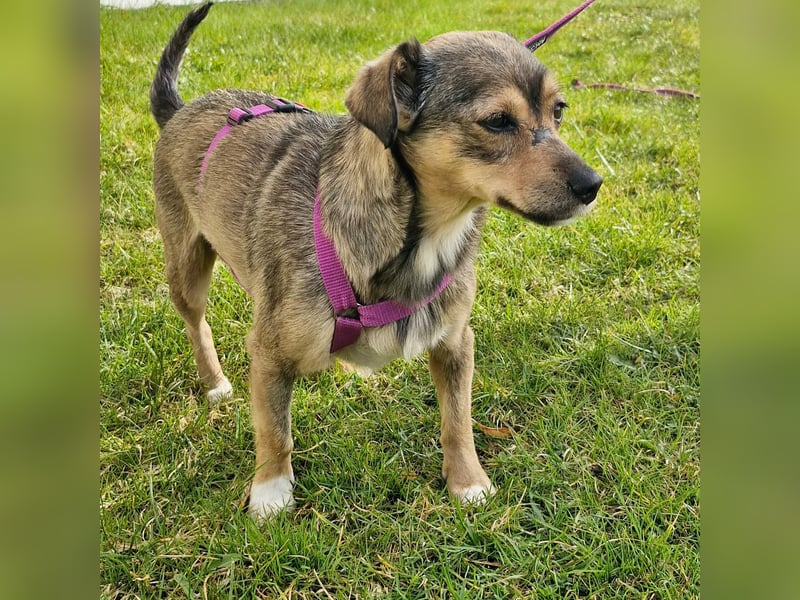 Mary - kleine Mary sucht großes Glück